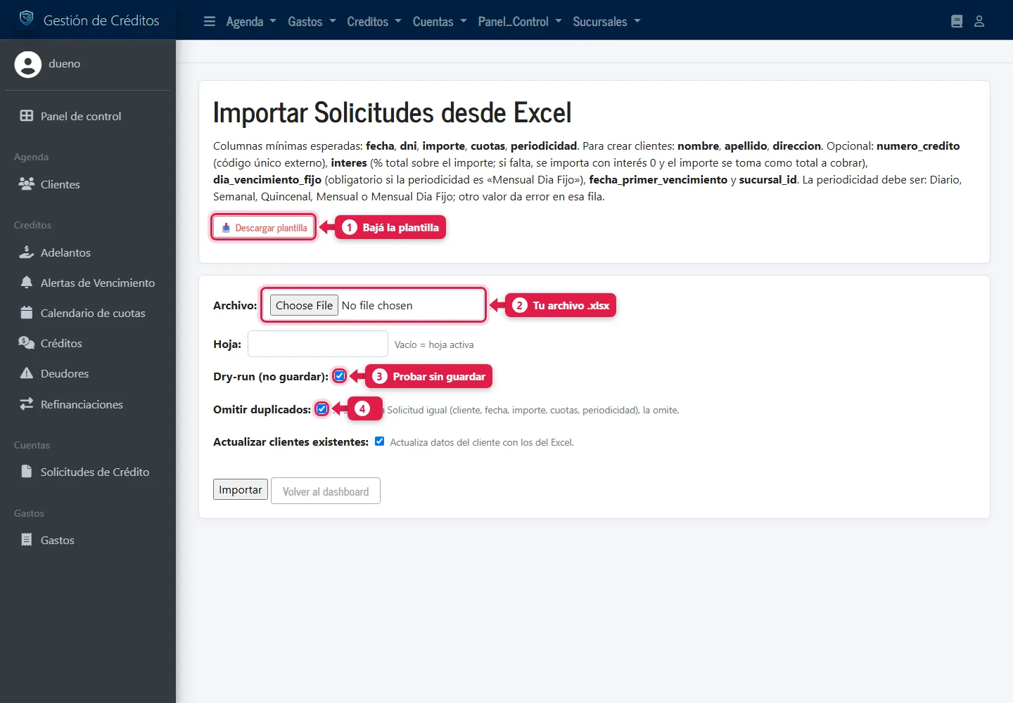 Pantalla de importación con la plantilla, el archivo y las opciones